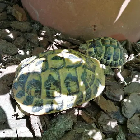 Maison Avec Vue Pyrenees Et Piscine Chauffee