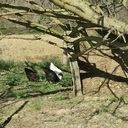 Дом отдыха Maison Avec Vue Pyrenees Et Piscine Chauffee Aignes