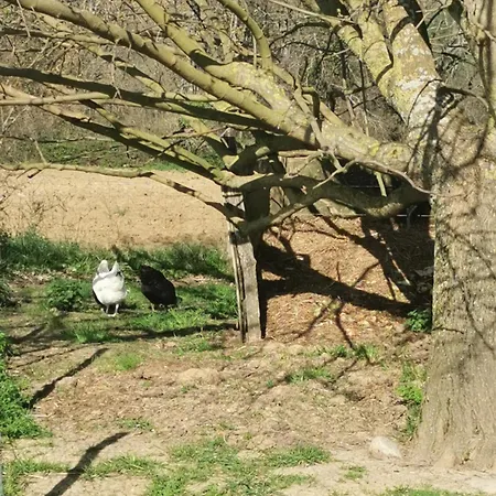 Maison Avec Vue Pyrenees Et Piscine Chauffee Дом отдыха