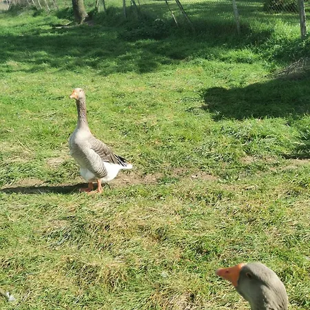 Ferienhaus Maison Avec Vue Pyrenees Et Piscine Chauffee *